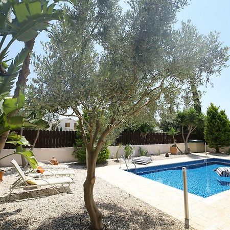 Unique Beach Luxurious Villas Agia Napa Buitenkant foto