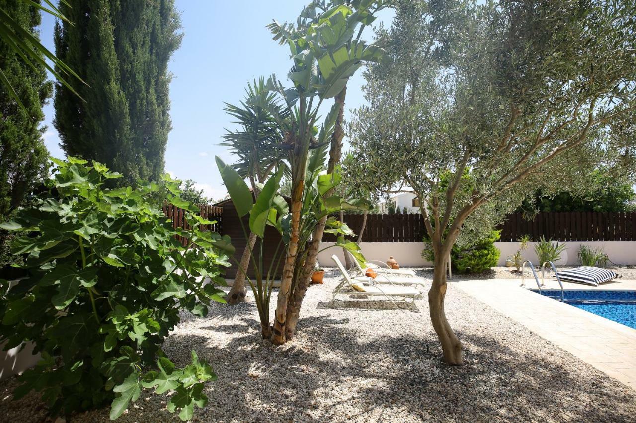 Unique Beach Luxurious Villas Agia Napa Buitenkant foto
